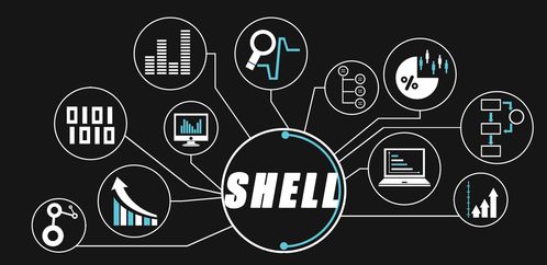 大數(shù)據(jù)開發(fā)工程師的進(jìn)階之路 精通Shell特殊符號與高效技術(shù)服務(wù)